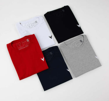 Kit 5 Colors T-shirts Toro All Basic